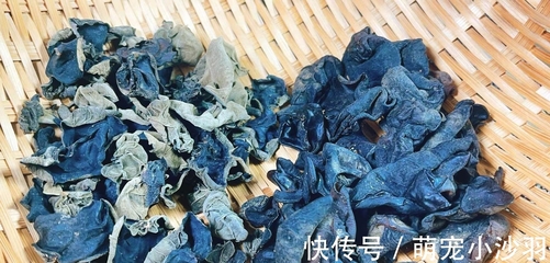 別再用水直接泡！加一勺白色粉末，木耳干凈又快又好，蟲子跑光光