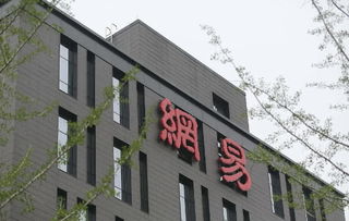 商人丁磊的情懷與取舍 從電商到教育
